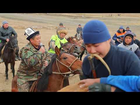 Видео: Улак 2018
