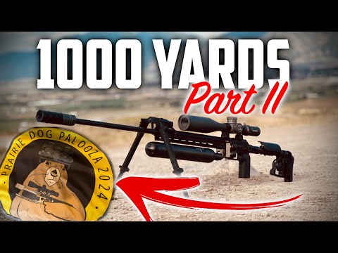 Видео: Невероятная точность: динамика пневматического оружия FX на 1000 ярдов, часть II + 1000 луговых с...