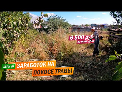 Видео: День 20 | 6 500 тыс. рублей за один день. Заработок в деревне на покосе травы триммером.