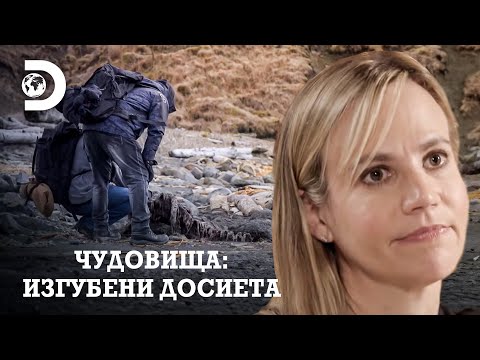 Видео: Кое морско чудовище уби китa? | Чудовища: Изгубени досиета