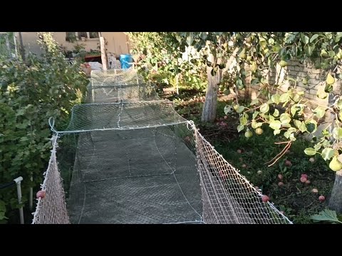 Видео: Ветер для реки 80х100.