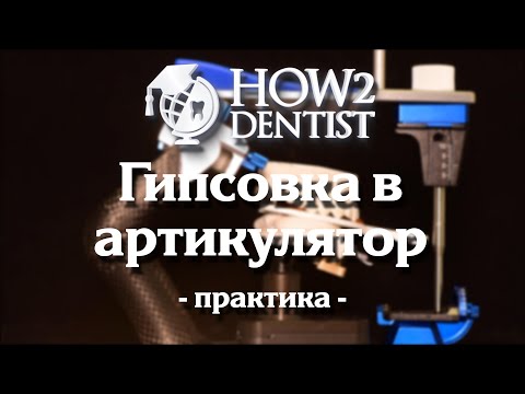 Видео: Как работать с лицевой дугой и артикулятором? / How to Dentist