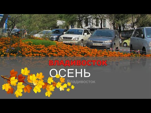 Видео: ОСЕННИЙ ПАРАЛЛАКС ВЛАДИВОСТОК