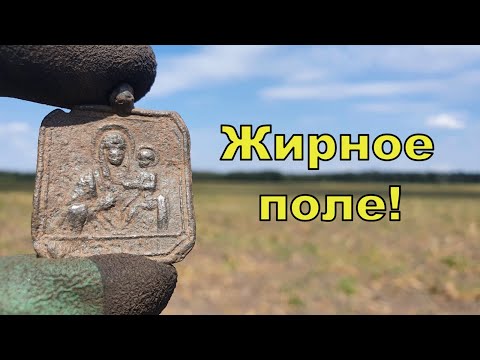 Видео: Жирное поле! Коп с NOKTA Anfibio Multi! Фильм 158