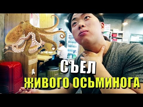 Видео: Дворец. Корейский Рынок. Попробовали живого осьминога.