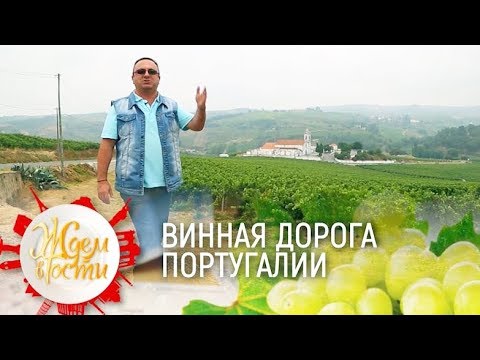 Видео: #Португалия: винная дорога | ЖДЁМ В ГОСТИ