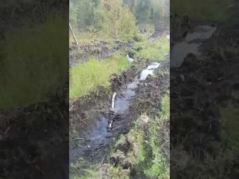 Видео: Трехмостовый лесовоз к700а. Причина создания