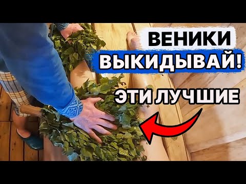 Видео: ТОП 5 ВЕНИКОВ для БАНИ. В чем разница?!