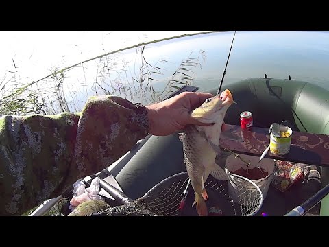 Видео: Рыбалка на озере Сартлан!!! Наловили сазанов!!!