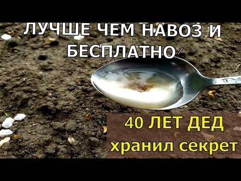 Видео: 1 ЛОЖКУ НА ВЕДРО ВОДЫ И ЗЕМЛЯ КАК НОВАЯ! ПРОЛЕЙТЕ ЭТИМ ЗЕМЛЮ ДЛЯ ОБИЛЬНОГО УРОЖАЯ ВСЕХ КУЛЬТУР.