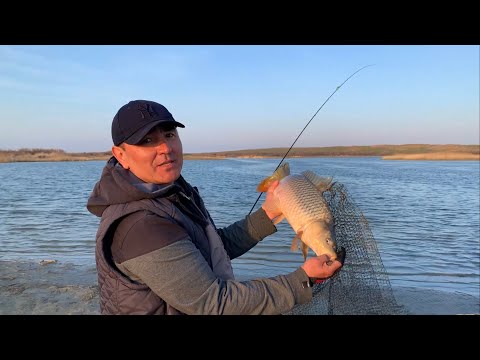 Видео: РЫБАЛКА НА ОСТРОВЕ БАРНЕО(НОВЫЙ ОСТРОВ) АРНАСАЙ