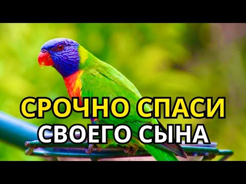 Видео: 🔑Повторите эту молитву и ваш СЫН будет под защитой! Лучшие молитвы, слушать минимум один раз в день!