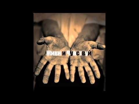 Видео: Койот - Ориентир