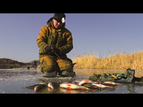 Видео: НА ЦЕЙ КОЛІР ЛІСОТКИ КЛЮЄ ЗАВЖДИ! ЛОВЛЯ ОКУНЯ на БЕЗМОТИЛКУ! ЗИМОВА РИБАЛКА 2025!