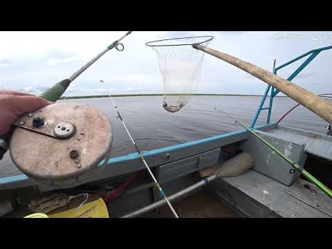 Видео: СЕКРЕТНЫЕ СИБИРСКИЕ МЕСТА опять РАДУЮТ. Рыбалка оз. Чаны. Карась, Сазан, Судак и Окунь Видео 2021.