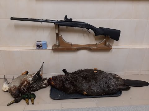 Видео: Коллиматорный прицел Pilad P1X42