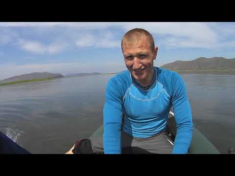 Видео: Абаканский сазан