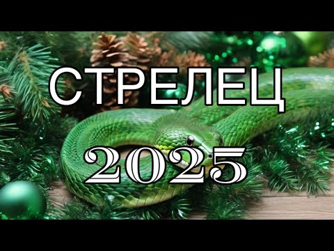 Видео: СТРЕЛЕЦ ♐️ ТАРО ПРОГНОЗ 2025 🐍