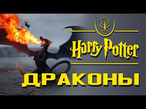 Видео: Драконы: Повелители небес | Архивы междумирья