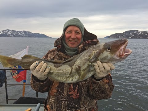 Видео: Ура Губа