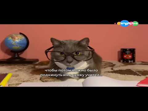 Видео: котинет 4 серия 2 сезон карусель (20.01.2016)