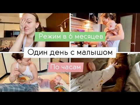 Видео: Один день с малышом 6 месяцев