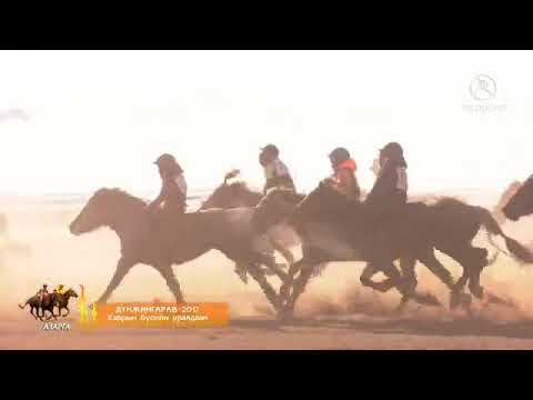 Видео: 2017 оны Дүнжингарав Хаврын бүсийн уралдаан