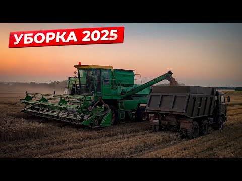 Видео: Уборка ПШЕНИЦЫ 2025! 