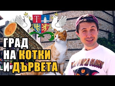 Видео: Открихме град на КОТКИ И ДЪРВЕТА