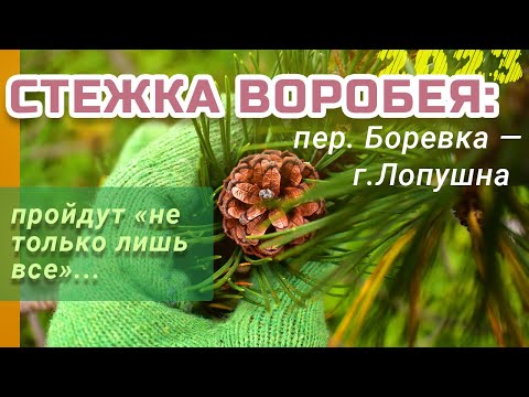 Видео: ТРОПА ВОРОБЕЯ 😉 Пройдут «не только лишь все»...