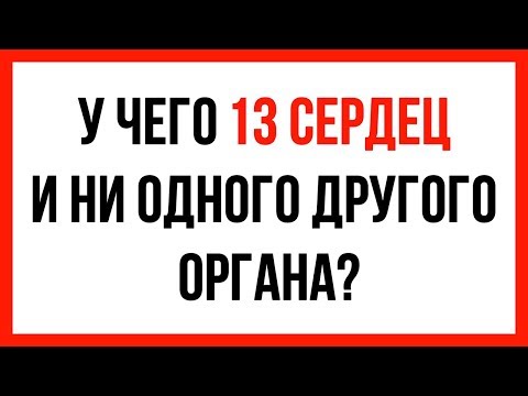 Видео: 37 непростых загадок, которые будут держать мозг в тонусе