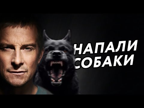 Видео: Фатальний сценарій (Переозвучка)