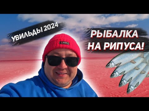 Видео: ИСКАЛИ МЕДЬ, А НАШЛИ ЗОЛОТО! РЫБАЛКА НА РИПУСА. ЦАРСКАЯ РЫБА, ПОЙМАНА.