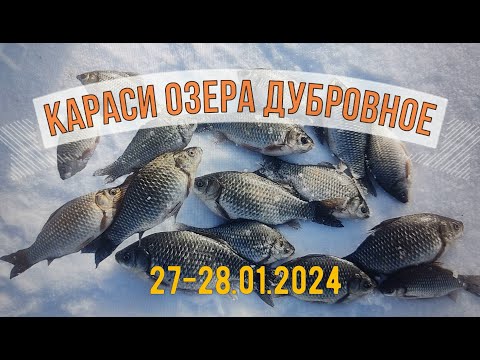 Видео: Зимняя ловля карася. Озеро Дубровное 27-28.01.2024. Icefishing.