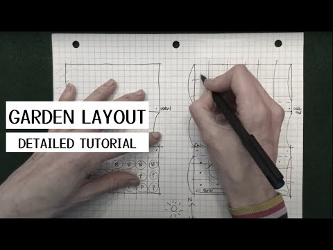 Видео: Подробное руководство по планировке огорода: расстояние между растениями, микроклимат и сопутству...