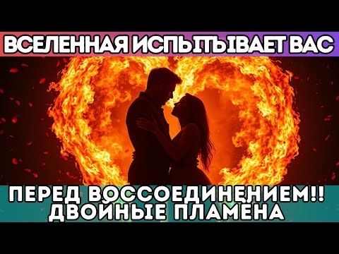 Видео: 🔥 Вселенная испытывает вас перед воссоединением!! Близнецовые Пламёна
