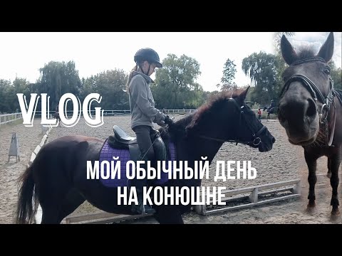 Видео: ВЛОГ/ МОЙ ДЕНЬ НА КОНЮШНЕ. #конныйспорт #лошади