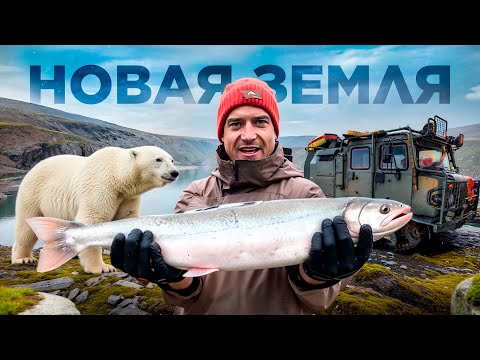 Видео: Рыбалка и Подводная Охота на Новой Земле. Ныряю Ночью с Белыми Медведями