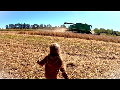 Видео: Большие перемены на ферме