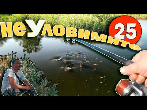 Видео: На  риболов за толстолоби.Неуловимите 25.On fishing for bighead carp. The intangible 25.