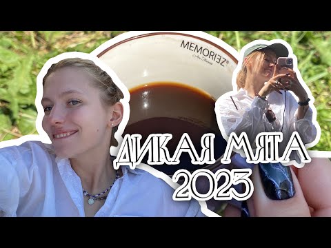 Видео: Vlog спустя год… Дикая Мята 2023🌿🚙