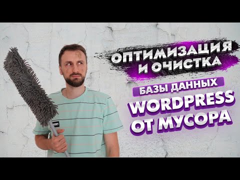 Видео: Оптимизация и очистка базы данных Wordpress от лишнего мусора