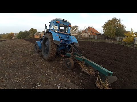 Видео: Трактор Т-40АМ Плуг ПЛН 3-35 (Яка глибина оранки з трьома корпусами??)