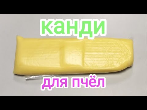 Видео: Когда давать канди пчёлам. Зимовка пчёл. Пчеловодство!