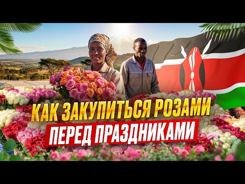 Видео: Кения изнутри: что происходит на плантациях перед сезоном | Цветы оптом | Grand Flowers Group
