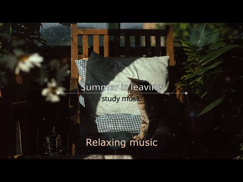 Видео: 《Ежедневные моменты 》Лето уходит 🎵 | Фокусировка и чтение | Музыка для релаксации