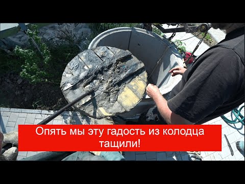 Видео: Алексеевское снт Ветеран не простая абиссинка в колодце на плывуне