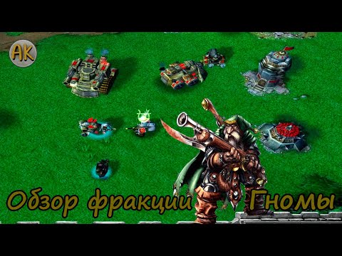 Видео: Warcraft 3. Обзор фракции "Гномы"