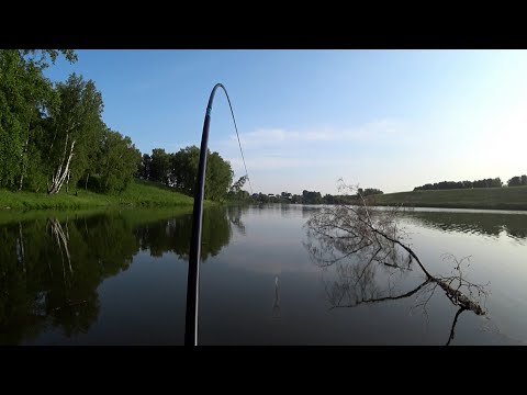Видео: КАРАСЬ на ХЕРАБУНУ/РЫБАЛКА 2025