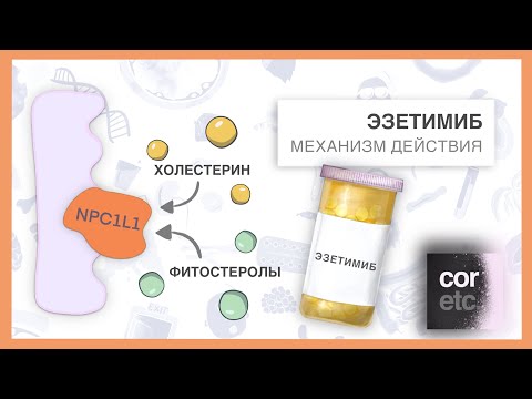 Видео: ►  Как работает Эзетимиб?